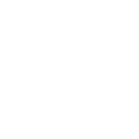BDMI crest